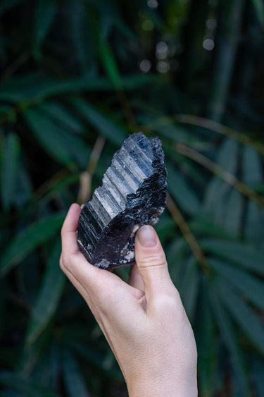 Black Tourmaline on Matrix